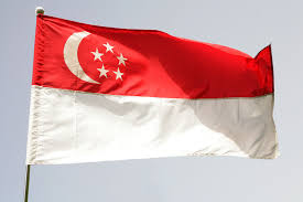http://t0.gstatic.com/images?q=tbn:sDYkXN1_sNL4xM:http://curiouslaura.files.wordpress.com/2009/06/singapore-flag-jpg.jpeg