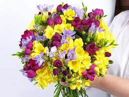 freesias