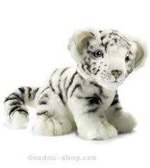 petit tigre blanc