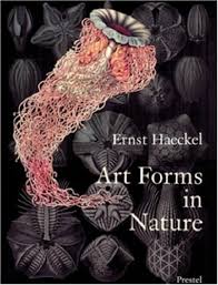 art form in nature