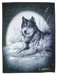 wolf and moon