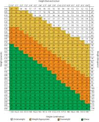 calculate bmi