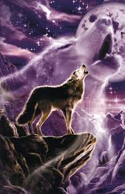 wolf and moon