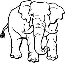 daily reports preschool free printables