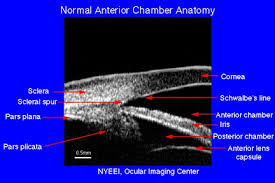 ultrasound biomicroscopy