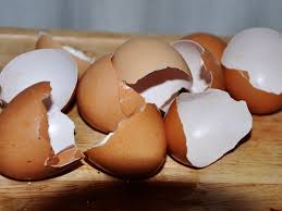 eggshells