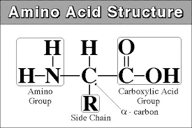 amino mass
