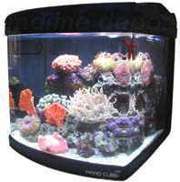 aquariums cube