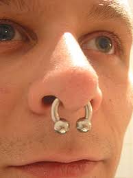 septum