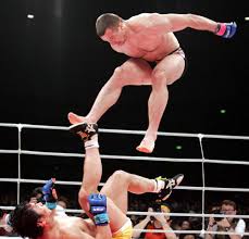Cro Cop vs.