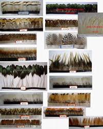 feather trimming