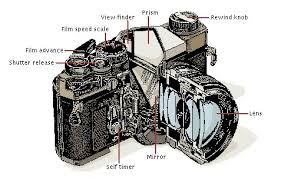 single reflex cameras