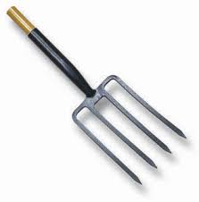 gardening tools and equipment