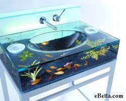 betta fish heater