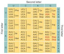 dna code