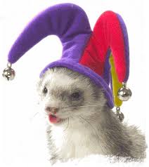 ferret hats