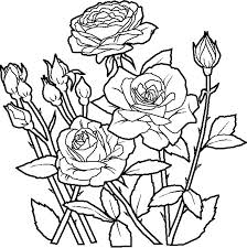 coloring books flowers