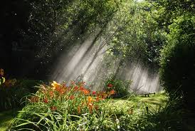gardens at giverny