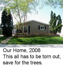 landscape ideas