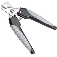dog nail grooming