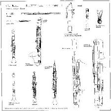 woodwinds instruments