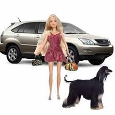 barbie mini van