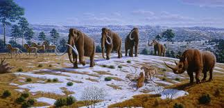 woolly mammoth