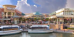 the woodlands