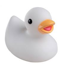 rubber duck