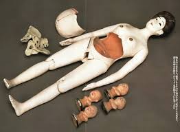 anatomy of a doll