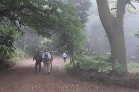 cerro verde