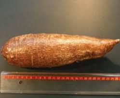 cassava roots