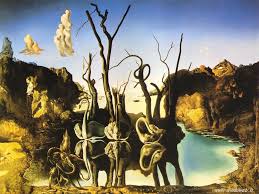 dali swans