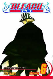 bleach volume 6