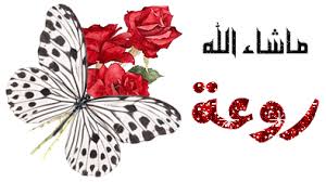 انيقات