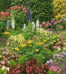 butterfly gardening