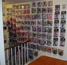 action figure collector