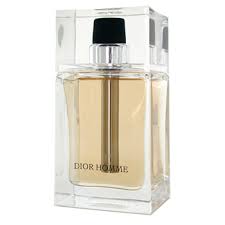 christian dior homme