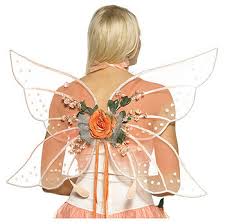 fairy costumes wings