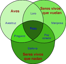 Ver imagen en tamaño completo