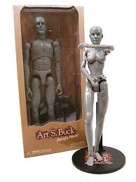 art s. buck anatomical models