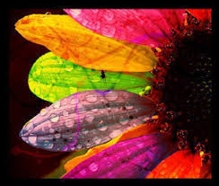 cool colorful pictures