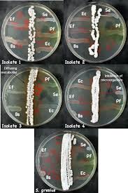 Figure 10-10 Antimicrobial