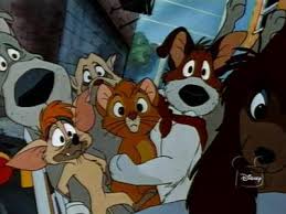 oliver in company