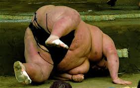 japan sumo