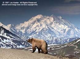 denali national park