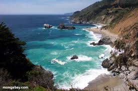 california los lobos