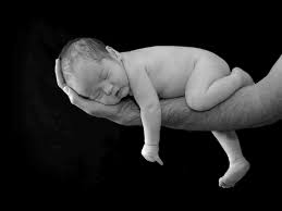 maternity photography