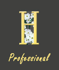 professional image
