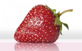 fresa